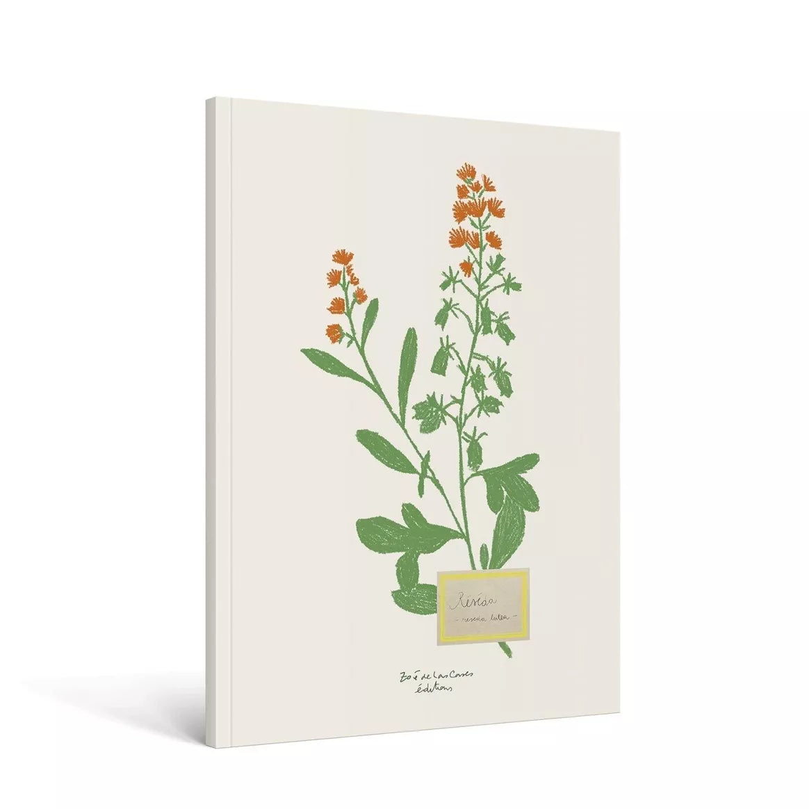 Nouveauté ! CARNET Oiseau A5 - Zoé de Las Cases