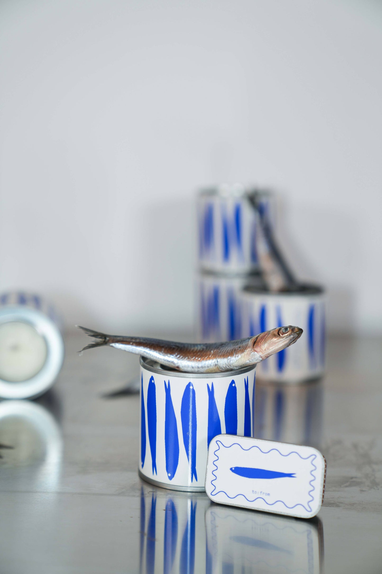 SARDINES (sel marin)